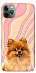 TPU чохол Demsky Pastel spitz для Apple iPhone 11 Pro Max (6.5")