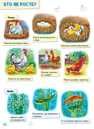 Малюкові про все на світі - мініатюра 6
