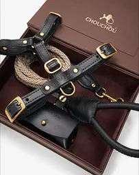 Комплект аксесуарів для собак (шлея+повідець+диспенсер) чорний 5м - мініатюра 2