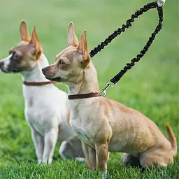 Повідець для двох собак Derby Dog Double Leash подвійний еластичний чорний - мініатюра 2