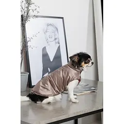 Жилет Pet Fashion Hardy для собак розмір S2 - мініатюра 6