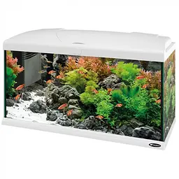Акваріум Ferplast CAPRI 80 LED - 100 L 80 x 31.5 x h 46.5 cm