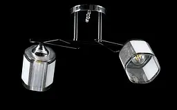 Люстра стельова Splendid Ray L91038/2, E27, 2 лампи, хром, білий плафон, сучасний стиль