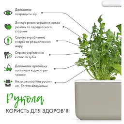 Змінний картридж Click & Grow Smart Garden Рукола, 3 капсули (8769) - мініатюра 4