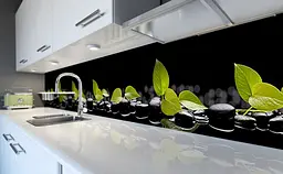 Вініловий кухонний фартух Зелене листя на камінні наклейка для кухні ПВХ Рослини Чорний Happy Pocket Z181447 - мініатюра 6