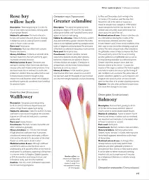 Encyclopedia of Herbal Medicine - мініатюра 12