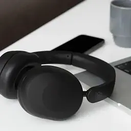 Навушники Final Audio UX1000 Black (90404209) - мініатюра 3