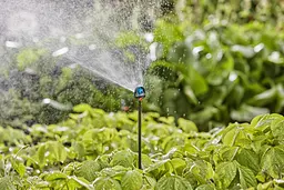 Мікродощувач Gardena Micro-Drip-System секторний 6-в-1, 2 шт (13324-20) - мініатюра 4