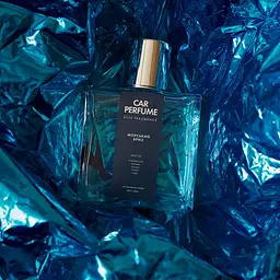Ароматизатор для авто Esse Car Perfume Морський бриз 60 мл - мініатюра 3