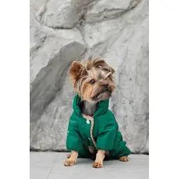 Комбінезон Pet Fashion EGO ХS2 зелений для собак - мініатюра 4