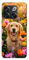 TPU чохол Demsky Flowery labrador для OnePlus 10T