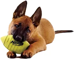 Футбольний м'яч для собак Nerf Dog Squeak - мініатюра 5