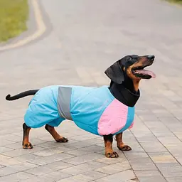 Комбінезон Pet Fashion Milly дівчинка для собак S3 - мініатюра 5