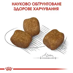 Сухий корм для собак малих порід із підвищеною чутливістю зубів Royal Canin Mini Dental Care, 1 кг (12210109) - мініатюра 5