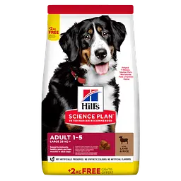 Сухий корм Hill’s SP Adult Large Breed для дорослих собак великих порід, з ягням і рисом, BONUS Bag -12+2кг