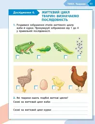 STEM-Старт. Зошит для учня. Наука про життя. 3 клас - мініатюра 6