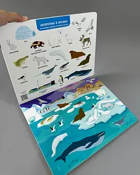 Книга Ура! Ми заговорили. Яка і коли? Тверда обкладинка АРТ12906У - мініатюра 3