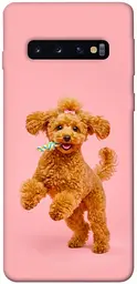 TPU чохол Demsky Happy poodle для Samsung Galaxy S10