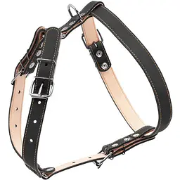 Шлея Collar подвійна для середніх собак (ширина 25мм, А:49-68см, В:68-80см) чорний