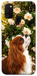 TPU чохол Demsky Flower spaniel для Samsung Galaxy M30s / M21