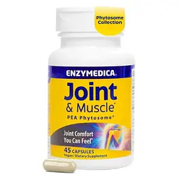 Здоров'я суглобів та м'язів Enzymedica Joint & Muscle PEA Phytosome 45 веганських капсул