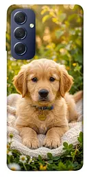 TPU чохол Demsky Small labradore для Samsung Galaxy M54 5G