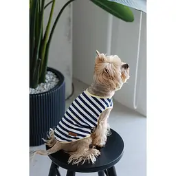 Майка Pet Fashion Tropic для собак XS2 - мініатюра 5