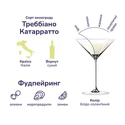 Упаковка вермуту Martini Extra Dry 18% 6 л (0.5 л х 12 шт.) - мініатюра 3