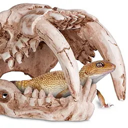 Декорація череп тигра Terrario Sabertooth Skull 13x8,5x11см (15911) - мініатюра 3