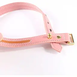 Повідець Lockink Sevanda Love Heart Butterfly LeaTher Collar Set - Pink - мініатюра 3