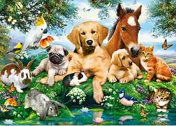 Пазл Castorland puzzle Літо з друзями, 500 ел. (B-53230) - мініатюра 2