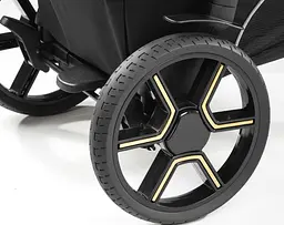 Коляска універсальна 3 в 1 Peg-Perego Book Lounge Grafic Gold (PACK-BOOK31LG00002) - мініатюра 14