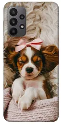 TPU чохол Demsky Sleepy spaniel для Samsung Galaxy A23 4G