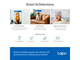 IP-камера видеонаблюдения TP-LINK Tapo C220 White - миниатюра 6