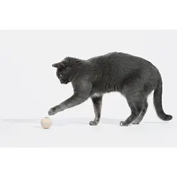 Іграшка для котів Cheerble Wicked Ball M3 (Apricot Beige) (CWQ02A) - мініатюра 10