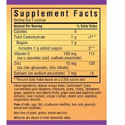 Цинк Bluebonnet Nutrition EarthSweet Chewables зі смаком апельсину 15 мг 60 таблеток - мініатюра 2