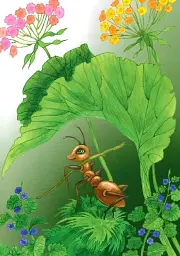 ABC Ant's adventures з доповненою реальністю - мініатюра 5
