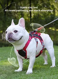 Шлея для собак Derby Pet harness FH107, M Чорний - мініатюра 3