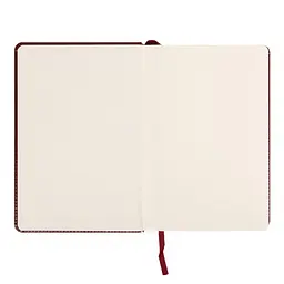 Діловий блокнот Leo Planner твердий А5 датований 2027 Vector 252759 368 аркушів коричневий - мініатюра 3