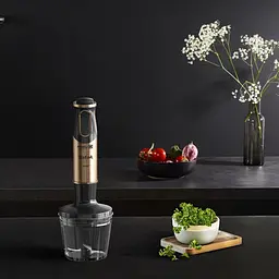 Занурювальний блендер Tefal HB656G10 - мініатюра 9