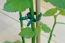 Набір затискачів для рослин Kinzo Garden садовий 20 шт. - мініатюра 3