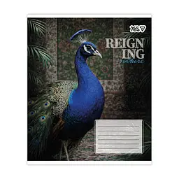 Зошит Yes Reign ing А5 48 аркушів клітинка (769096), в асортименті - мініатюра 6