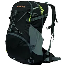 Рюкзак Pinguin Air 33, 2020 Black (1033-PNG 317190)