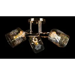 Стельова люстра зі скляним плафоном Splendid-Ray 30-4004-27