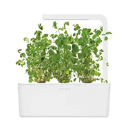 Змінний картридж Click & Grow Майоран (7571) - мініатюра 3
