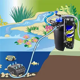 Ставковий фільтр із насосом та стерилізатором SunSun CPF-10000T 5200 л/год до 12000 л - мініатюра 3