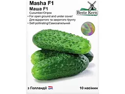 Огірок Beste Kern (5 пачок в упаковці) Маша F1 (10 насінин)