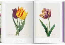 Redouté. The Book of Flowers - мініатюра 7