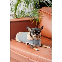 Шлея-жилет Pet Fashion Rob для собак розмір XS - мініатюра 7