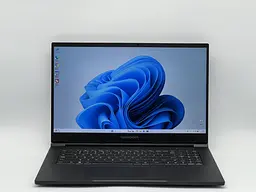 Ноутбук Maingear 17.3" Vector Pro 17 MG-VCP17I-3070, i7-11800H, 16 GB, 960 GB, NVIDIA GeForce RTX 3070, 1920x1080, IPS (SH2510789) Б/в